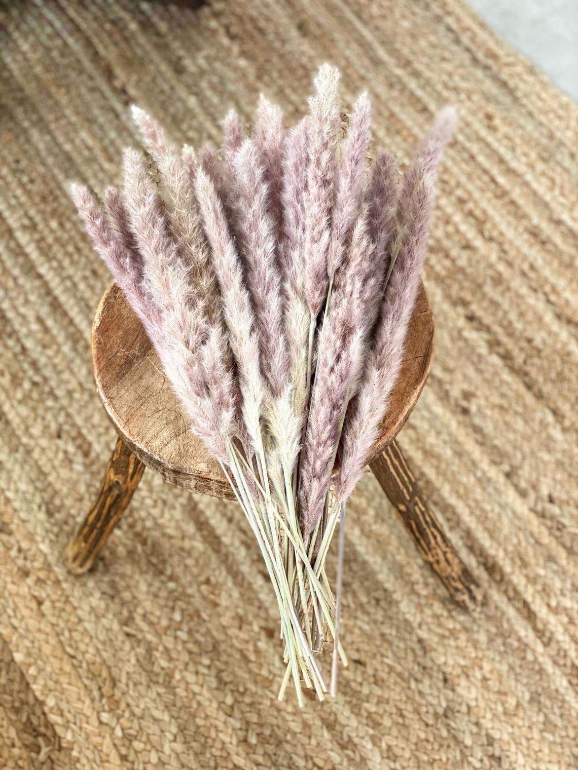 Small Pampas Wholesale Home Indoor Decoration Wedding Flowers Pampas Grass