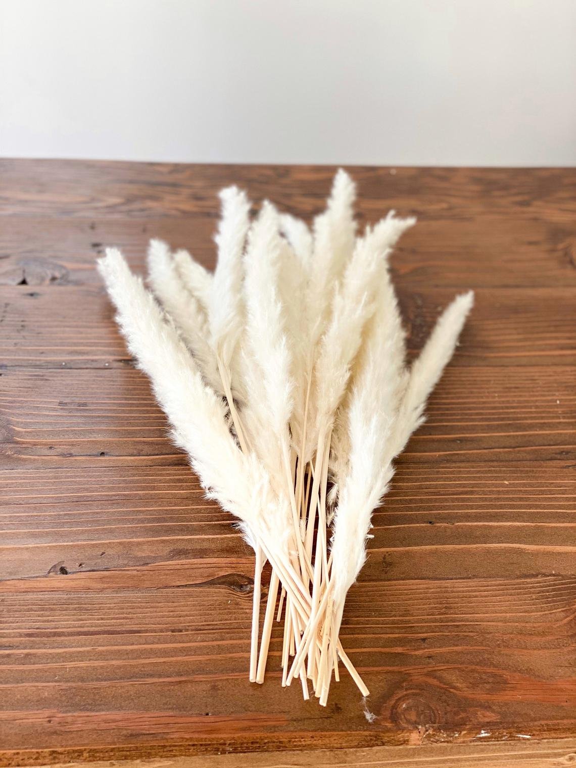 Small Pampas Wholesale Home Indoor Decoration Wedding Flowers Pampas Grass