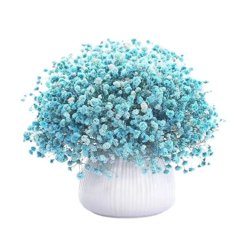 Wholesale dried flowers 50g 120g 500g home decorative preserved natural gypsophila bouquet for wedding floral flower arrangement