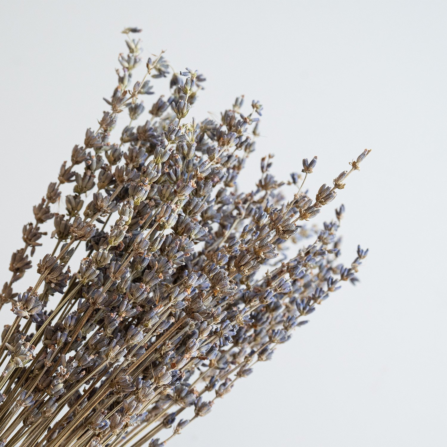 New Lavender Dried Flowers Dried Lavender Ideal Home Fragrance Products for Home Decorations