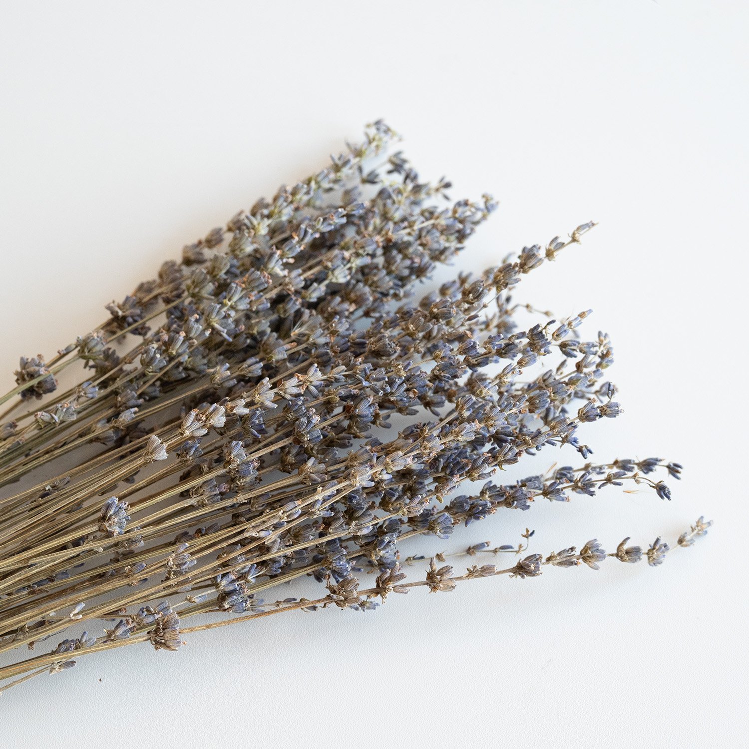 New Lavender Dried Flowers Dried Lavender Ideal Home Fragrance Products for Home Decorations