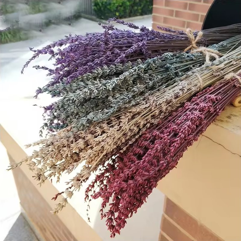 New Lavender Dried Flowers Dried Lavender Ideal Home Fragrance Products for Home Decorations
