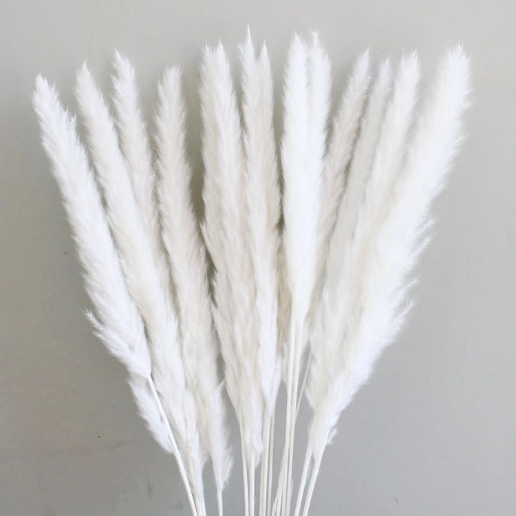 Wholesale 45-120cm Natural Faux Artificial Dried Flowers Tall Fluffy Small Beige Home Wedding Decor Pampas Grass Large Pampas