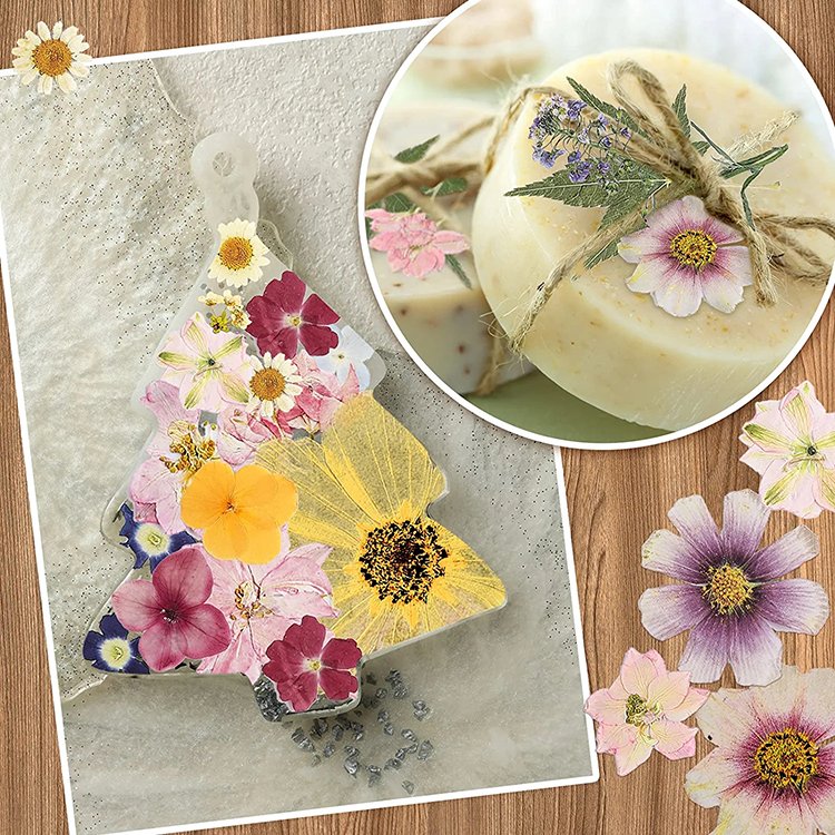 top seller natural real dry pressed leaves Epoxy Dried plant Decoration for Candle Making DIY Crafts Nail Art