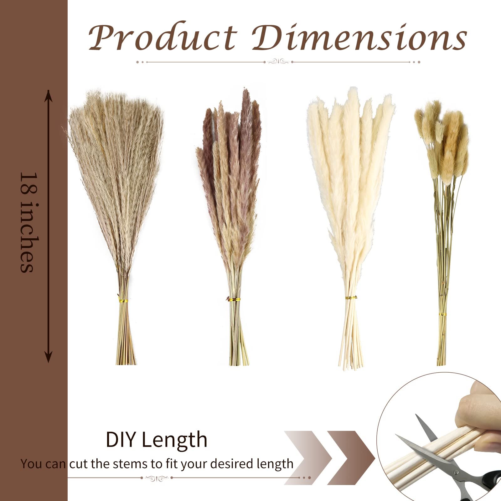 Custom Packaging Pink White Beige Dry Pampas Grass Large Fluffy Natural Wedding Decor Preserved Dried Flower Pampas Grass
