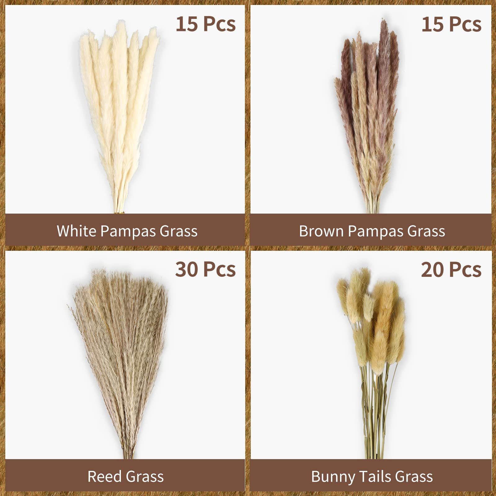 Custom Packaging Pink White Beige Dry Pampas Grass Large Fluffy Natural Wedding Decor Preserved Dried Flower Pampas Grass