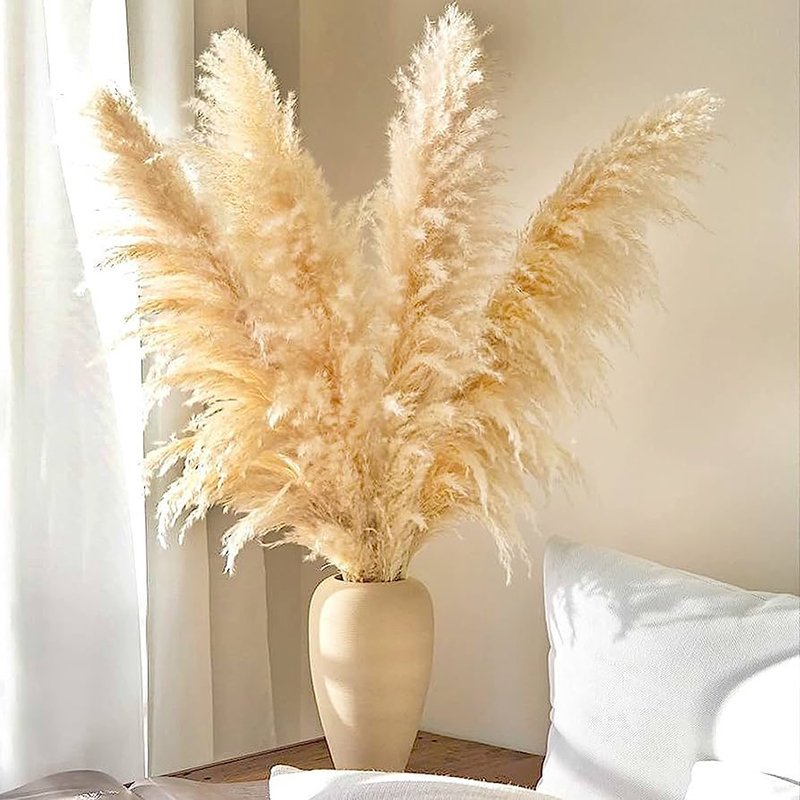 Wholesales Natural Large Pampas Grass Fluffy Reed Dried reed Plumes Phragmites Wedding Decoration Pampasgrass