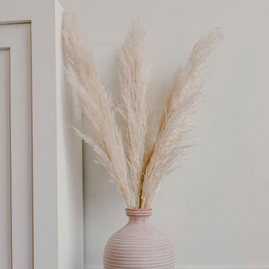 Wholesales Natural Large Pampas Grass Fluffy Reed Dried reed Plumes Phragmites Wedding Decoration Pampasgrass