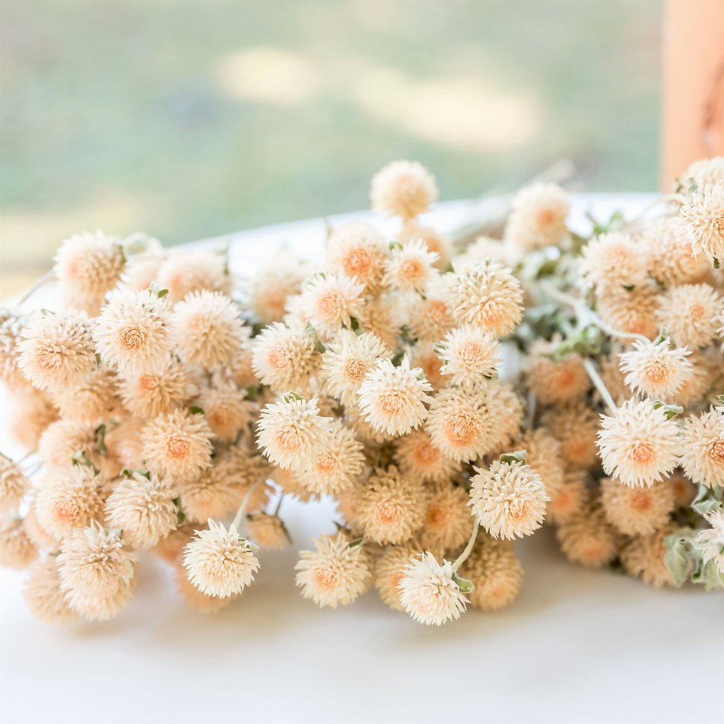 Sumflora best selling products in USA Custom wedding decorations favors gifts dried flowers globe amaranth