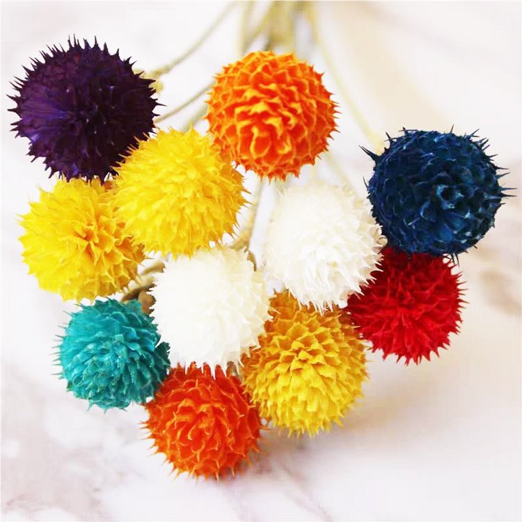 Sumflora best selling products in USA Custom wedding decorations favors gifts dried flowers globe amaranth