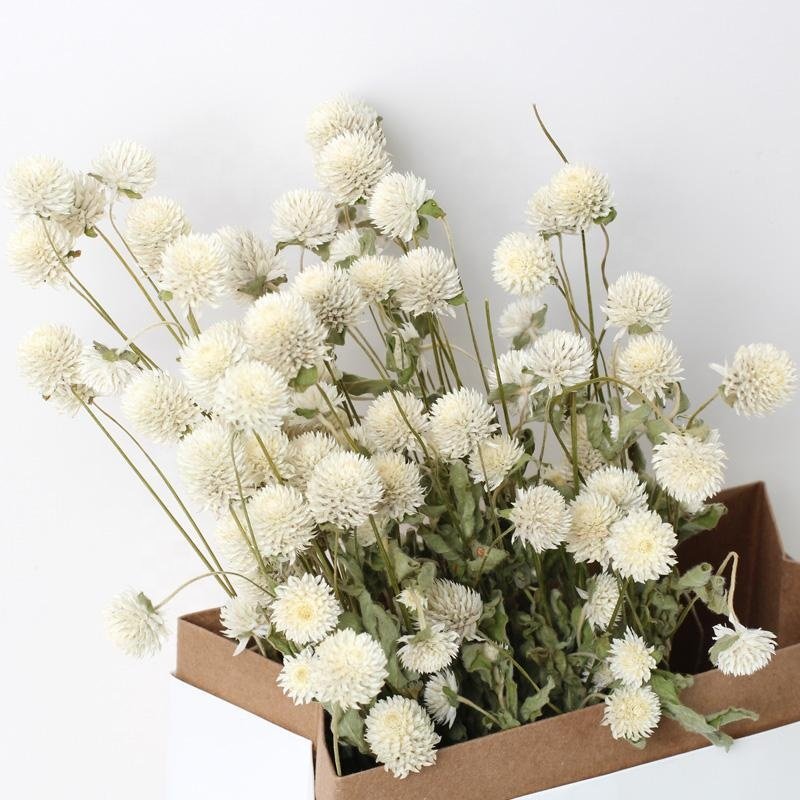 Sumflora best selling products in USA Custom wedding decorations favors gifts dried flowers globe amaranth