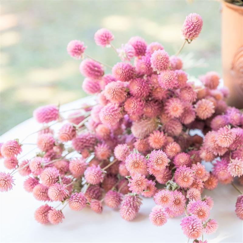Sumflora best selling products in USA Custom wedding decorations favors gifts dried flowers globe amaranth