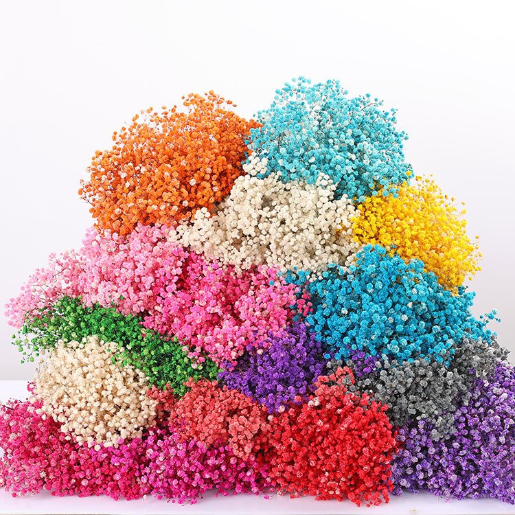Mini 15cm Preserved Flowers Plants Babys Breath Gypsophila Dried Flowers Material for Bouquet Wedding Florist Party Event Decor