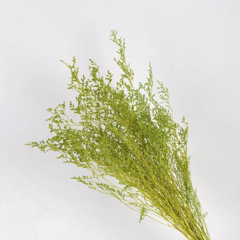 Wholesale Low Price Valentine's Day Love Grass Dried Bouquet Flower Preserved Flowers & Plants