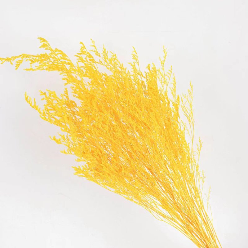 Wholesale Low Price Valentine's Day Love Grass Dried Bouquet Flower Preserved Flowers & Plants