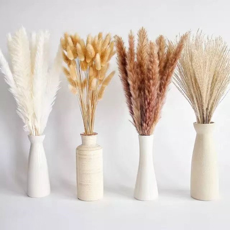 Preserved Dried Flowers Bouquet Bunny Tails Grass Small Pampas Grass Horsetail Whisk 100PCS