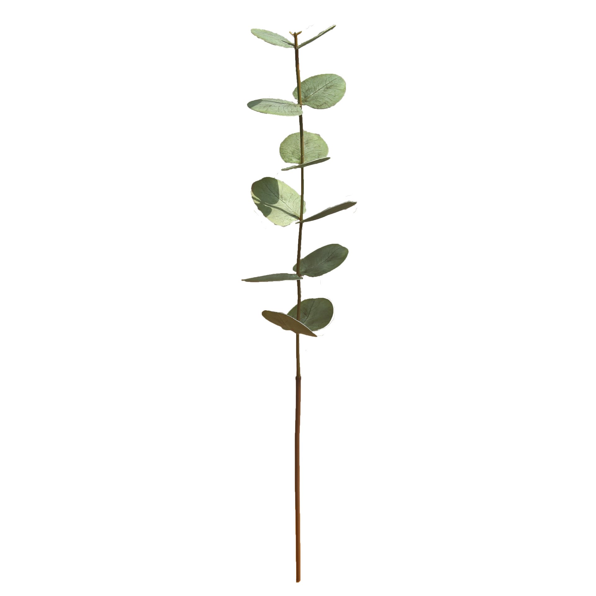 Maylos decoration ins soft installation material single branch French feel simulation eucalyptus dried fake flowers