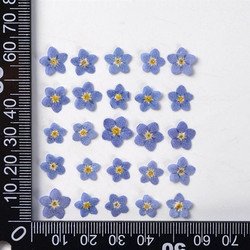 0.5-1cm