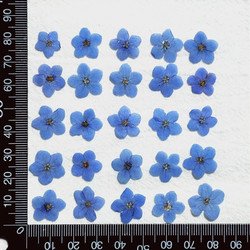 0.8-1.6cm