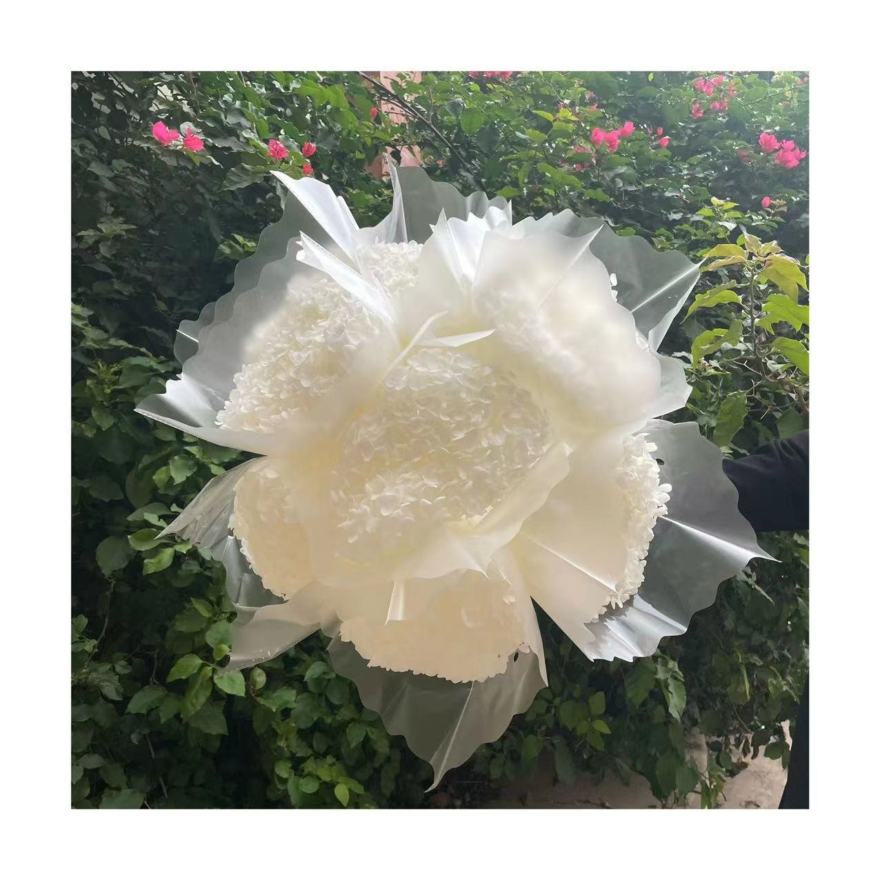 New product ideas 2023 INS style real touch preserved hydrangea flower dried hydrangea for wedding home decoration