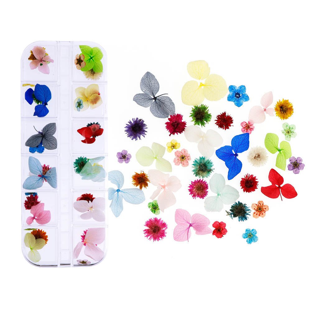 New Styles Mini Dried Pressed Flowers Dried Narcissus for Nail Art Stickers DIY Manicure Charms