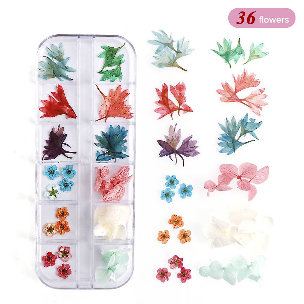 New Styles Mini Dried Pressed Flowers Dried Narcissus for Nail Art Stickers DIY Manicure Charms