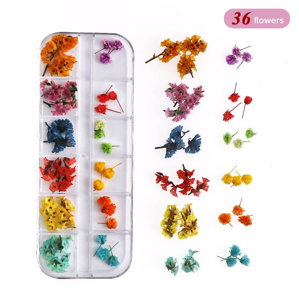 New Styles Mini Dried Pressed Flowers Dried Narcissus for Nail Art Stickers DIY Manicure Charms