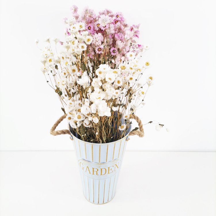 SumFlora Wholesale Natural Gift A Grade 50cm decoration preserved flower arrangement dried flower dendranthema squarrosa
