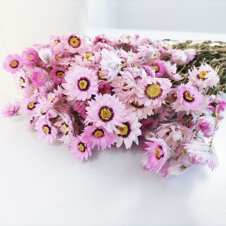 SumFlora Wholesale Natural Gift A Grade 50cm decoration preserved flower arrangement dried flower dendranthema squarrosa