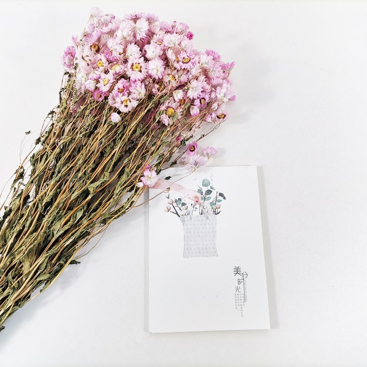 SumFlora Wholesale Natural Gift A Grade 50cm decoration preserved flower arrangement dried flower dendranthema squarrosa