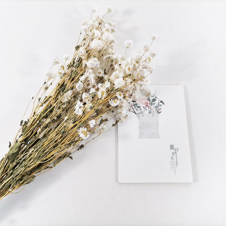 SumFlora Wholesale Natural Gift A Grade 50cm decoration preserved flower arrangement dried flower dendranthema squarrosa
