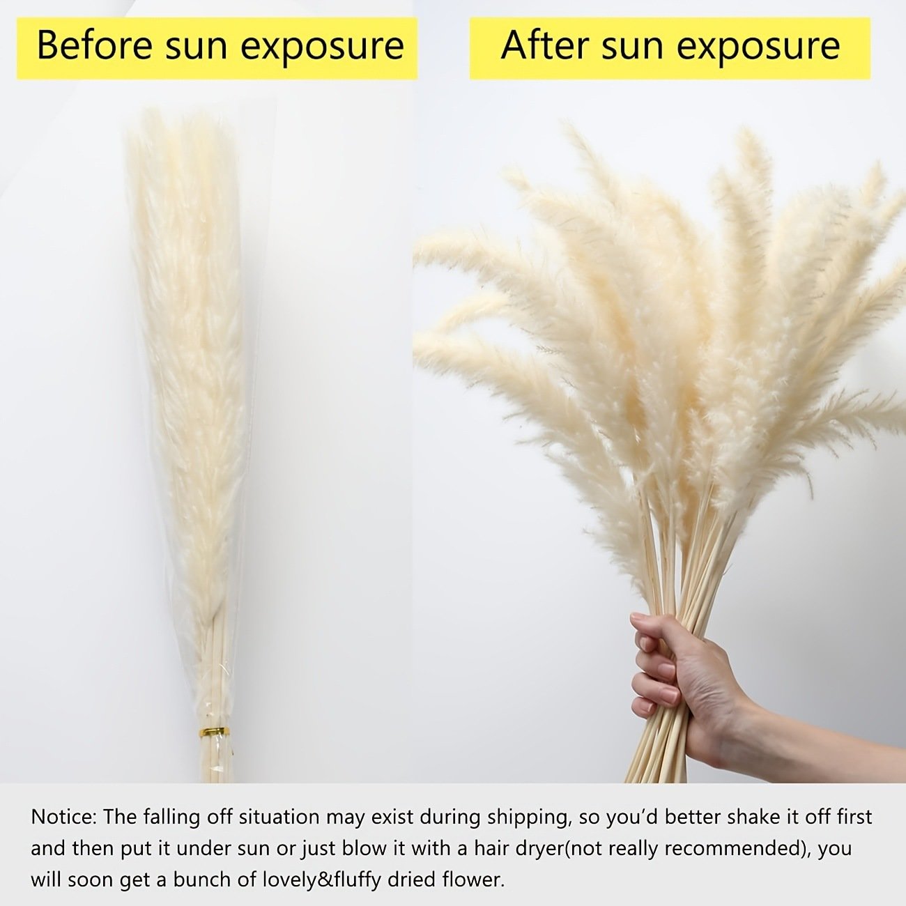30pcs Natural Beautiful Decoration Wedding Arch Flower Christmas Arrangement Dried Decorative Pampas Grass