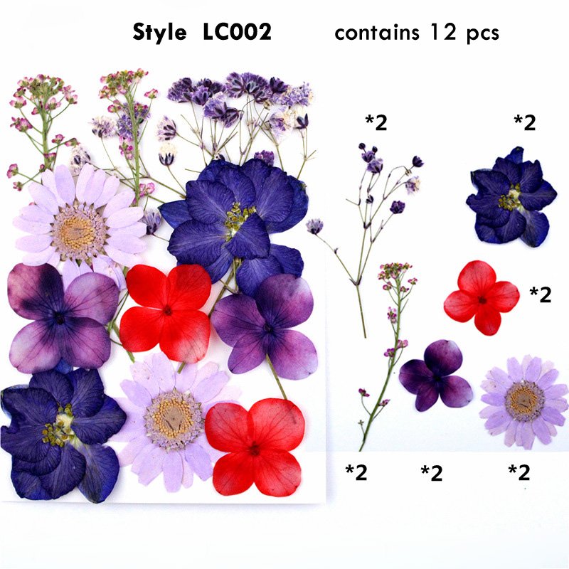 Amazon Hot Sell Forget Me Not Natural Dried Pressed Flower For Phone Case Resin Jewelry Crafts