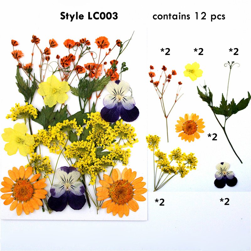 Amazon Hot Sell Forget Me Not Natural Dried Pressed Flower For Phone Case Resin Jewelry Crafts