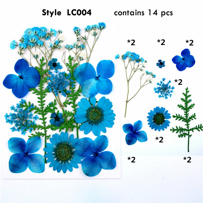 Amazon Hot Sell Forget Me Not Natural Dried Pressed Flower For Phone Case Resin Jewelry Crafts
