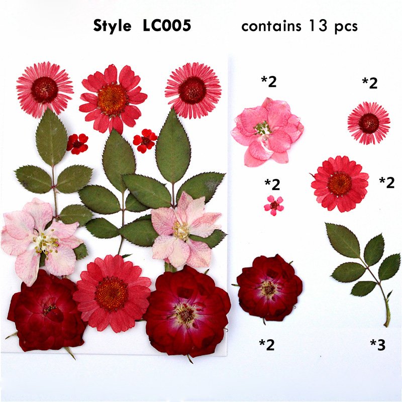 Amazon Hot Sell Forget Me Not Natural Dried Pressed Flower For Phone Case Resin Jewelry Crafts