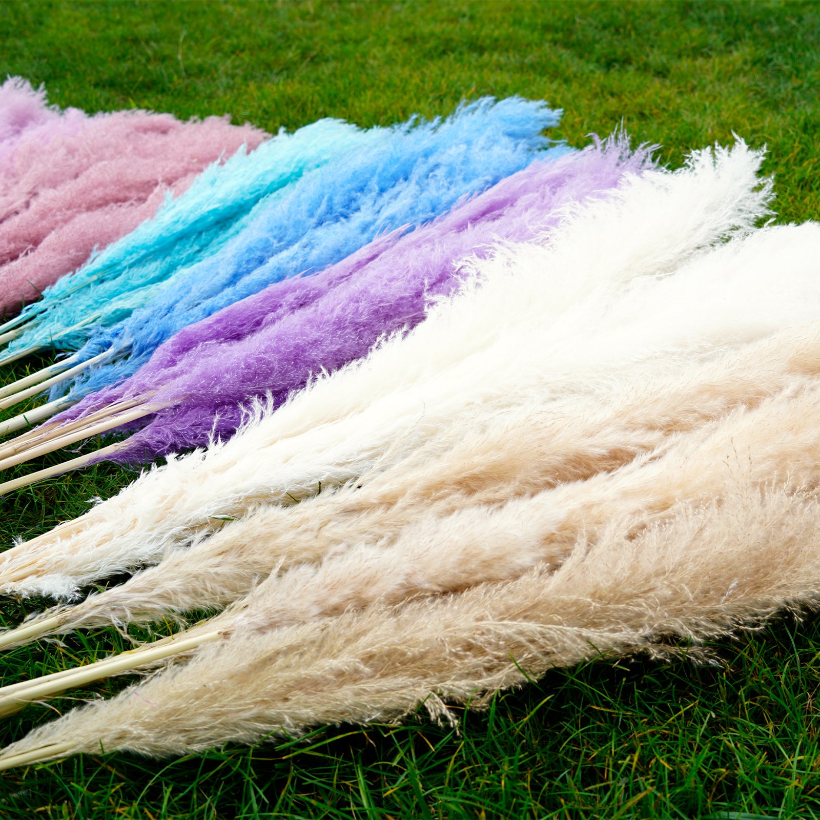 Manufacturer Natural Dried Large Pampas Grass Decor for Home Kitchen Garden Wedding arrangement Flower Arrangement Vase Decor