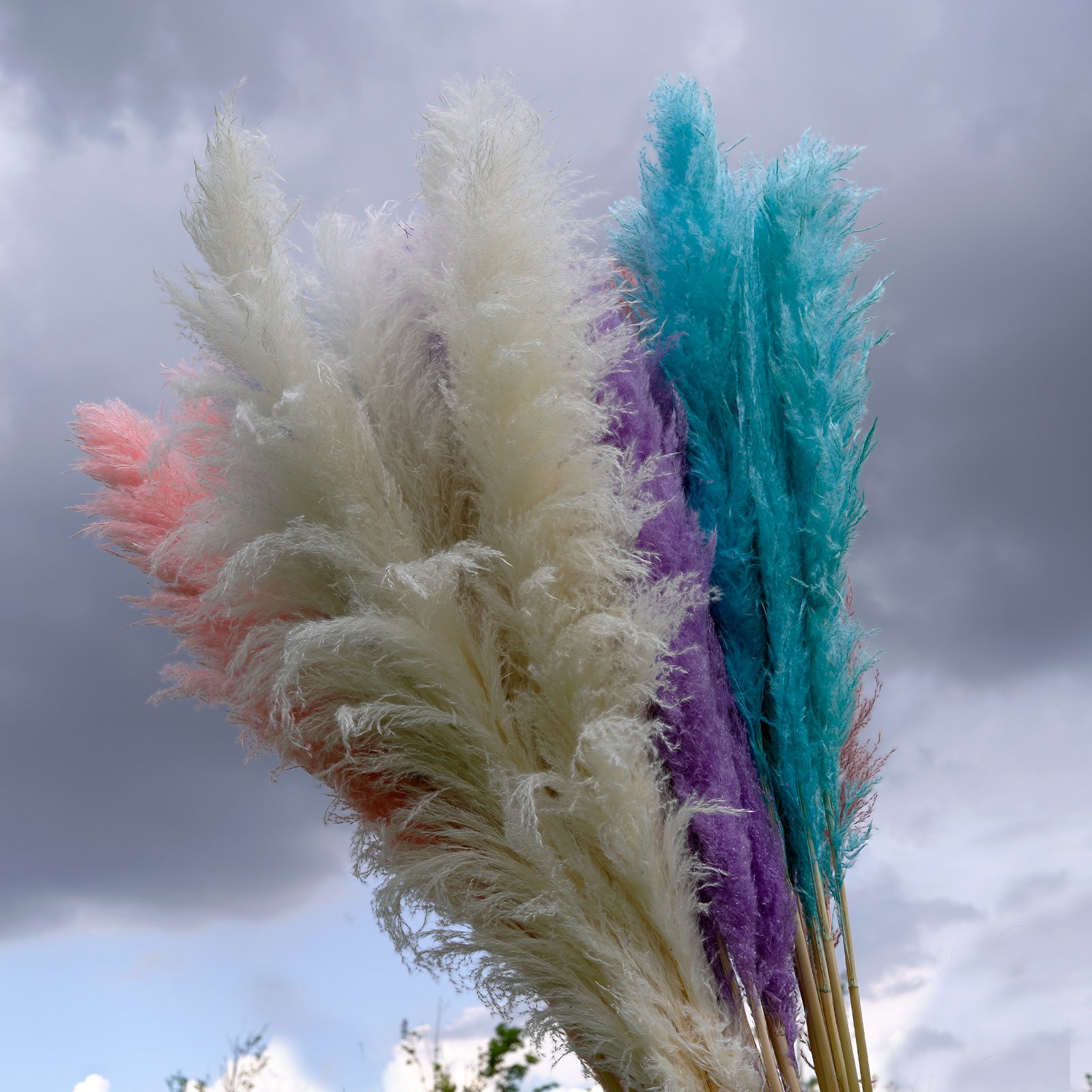 Manufacturer Natural Dried Large Pampas Grass Decor for Home Kitchen Garden Wedding arrangement Flower Arrangement Vase Decor