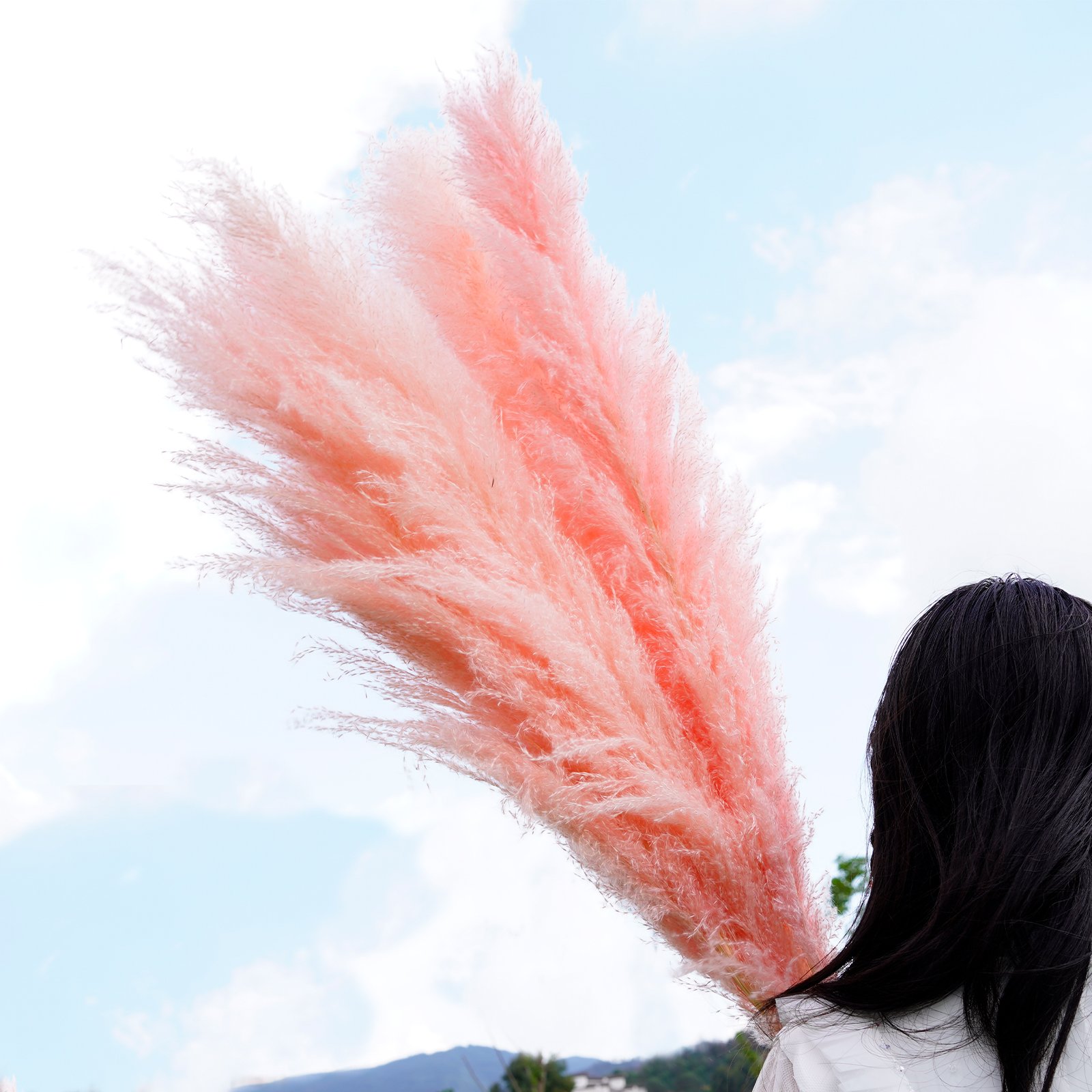 Manufacturer Natural Dried Large Pampas Grass Decor for Home Kitchen Garden Wedding arrangement Flower Arrangement Vase Decor