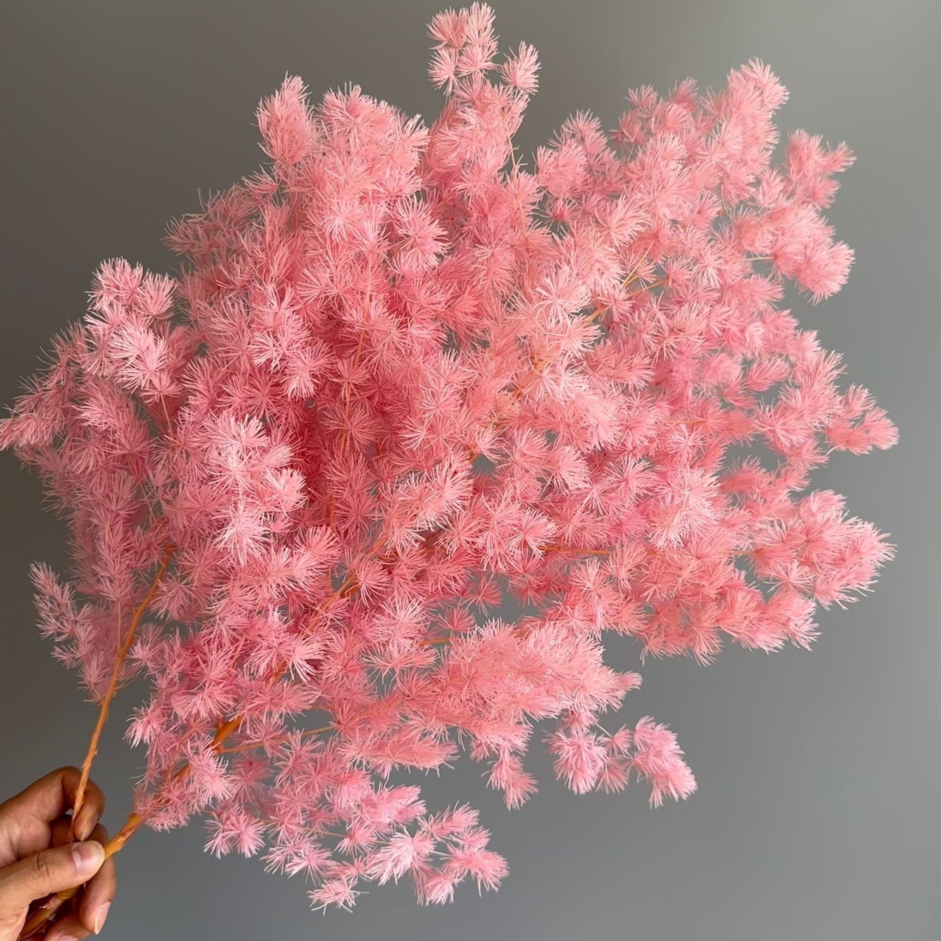 New Style Real Dried Flower for Valentine day Preserved Flower Bouquet for Gift Dried Eternal Flower for Wedding