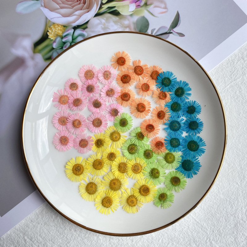 Hot sales Real Dried Pressed Aster Pressed Flowers for resin crafts jewelries