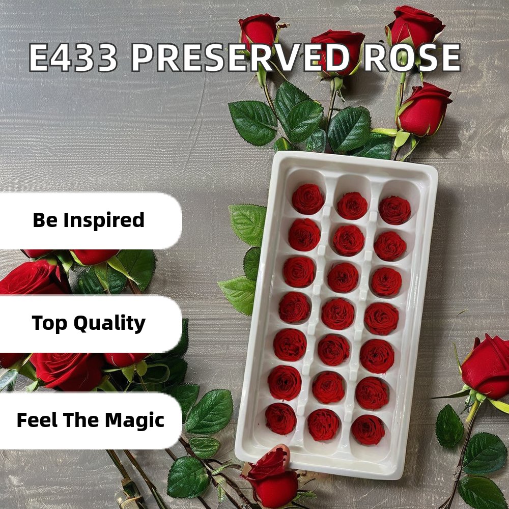 P-6 Colorful dried flower Real Preserved flower David Austin Rose Garden Roses Preserved Rose Heads wedding decoration