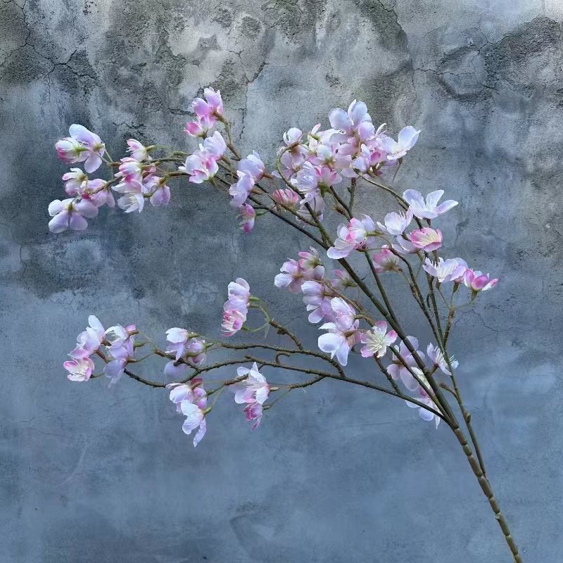 Apple Flowers