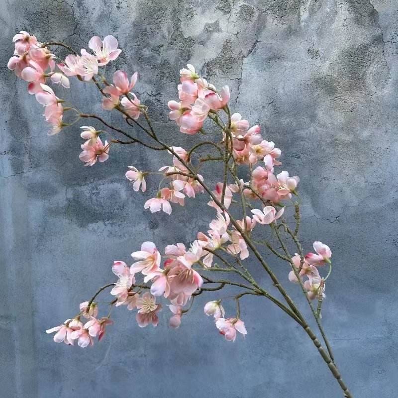 Apple Flowers