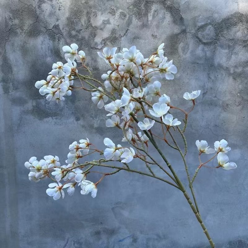 Apple Flowers
