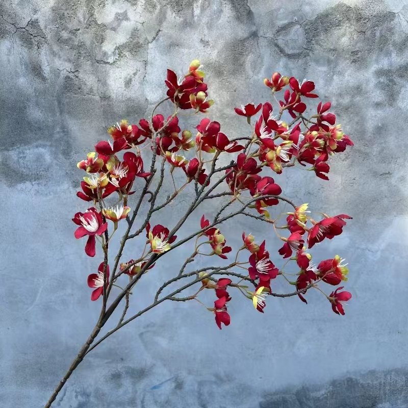 Apple Flowers