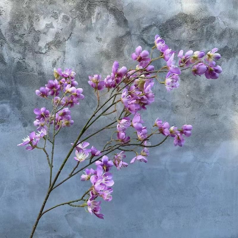 Apple Flowers