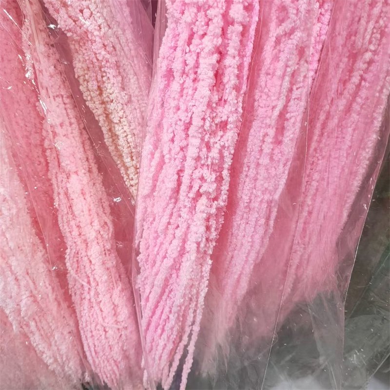 2024 Hot Selling New Style Preserved Flowers Amaranth Nature Dried Plant Amaranthus For Wedding Home Decoration