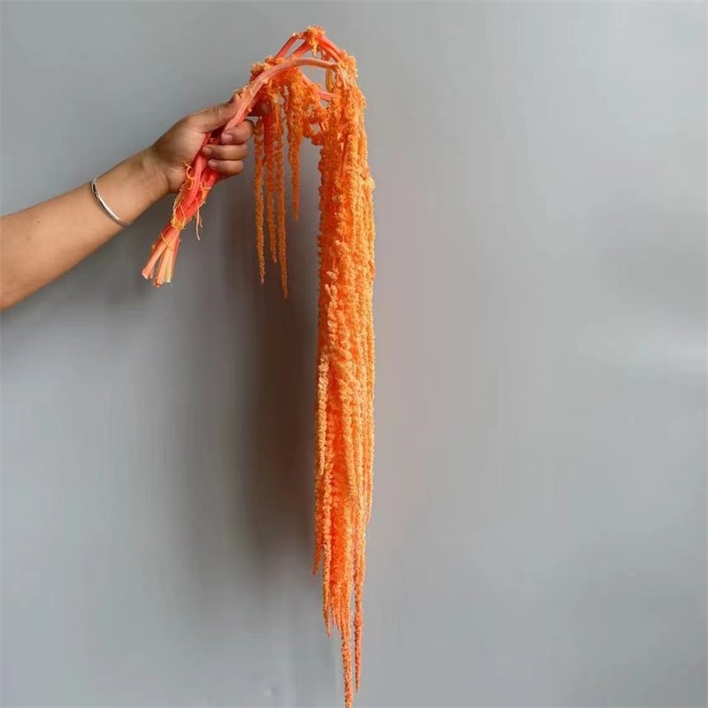 2024 Hot Selling New Style Preserved Flowers Amaranth Nature Dried Plant Amaranthus For Wedding Home Decoration