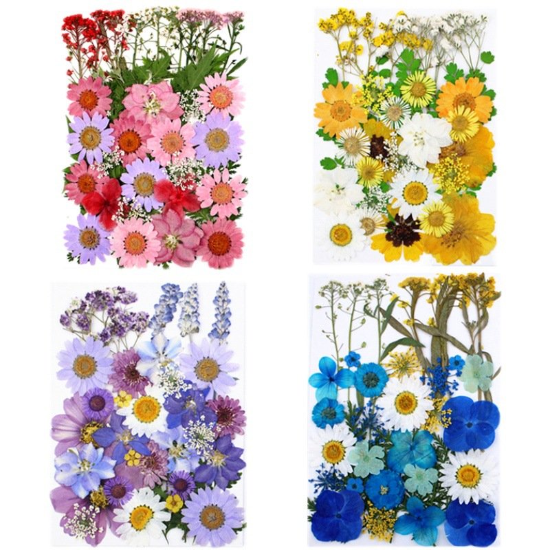 Yunnan wholesale natural real pressed flowers dried flowers for diy decorations